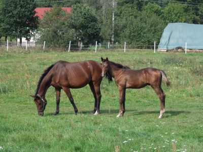 Wycieczka do Wrzosowej Krainy