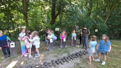 Lekcja przyrody poza salą