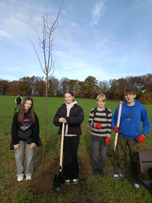 Eko-Inicjatywa – Sadzenie miododajnych drzewek