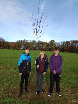 Eko-Inicjatywa – Sadzenie miododajnych drzewek