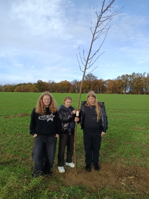 Eko-Inicjatywa – Sadzenie miododajnych drzewek